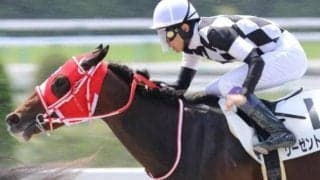 日本一に輝いた横浜DeNAベイスターズ・三浦大輔監督の愛馬2頭 オーナー同様に“歓喜の瞬間”なるか