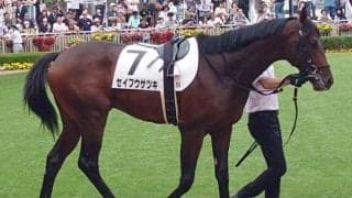 福岡ソフトバンクホークス・柳田悠岐選手 武豊騎手とタッグで馬主初勝利なるか