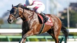 23年紫苑S覇者のモリアーナが登録抹消 今後は繁殖馬に