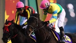 クラシックウイナーのきょうだいら良血馬が大挙出走 日曜福島5Rは豪華メンバーに
