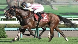 モリアーナの競走馬登録抹消…繁殖入り