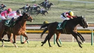 ハーパーの競走馬登録抹消…繁殖入り