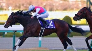 ドルチェモアの競走馬登録抹消…大井へ移籍