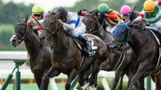 「温泉」と名の付くJRAのレースはいくつ？ 今週末の“温泉レース”を前に調べてみると