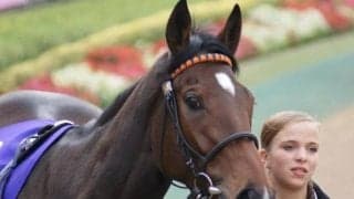 ジャパンC最後の外国馬勝利から19年 その後に参戦した海外の大物とは