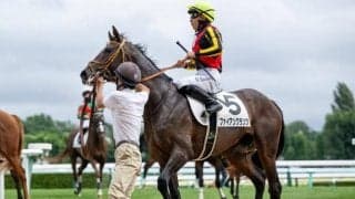 【東スポ杯2歳S枠順確定】ファイアンクランツは3枠3番、クロワデュノールは4枠4番