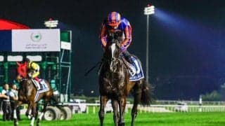 ディープインパクト最終世代でG1は6勝!? ジャパンカップ参戦の“超大物”を深掘り