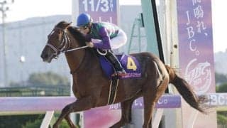 23年JBCレディスC覇者アイコンテーラーが抹消 今後は北海道で繁殖牝馬に