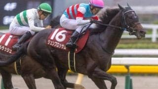 今年のマイルCSは多彩なメンバー構成 各ローテーションを比較して浮かび上がる傾向とは