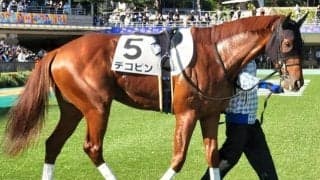 ワールドシリーズ制覇の流れにあやかる!? オオタニ＆デコピンが日曜に出走