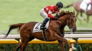 【東スポ杯2歳S予想】道中での追走に的中のカギ!? 前走からの距離短縮組が不振の理由とは