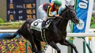東京芝は内外フラット 同舞台の新馬圧勝クロワデュノールを信頼