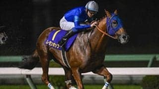 【チャンピオンズC想定馬・騎手】レモンポップ、ウィルソンテソーロなど19頭