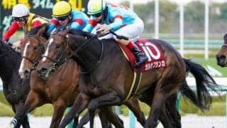 半兄イクイノックスに続く足掛かりへ ルメール騎手と今度こその2勝目なるか