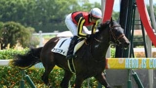 【京都2歳S想定馬・騎手】サラコスティ、エリキングなど8頭