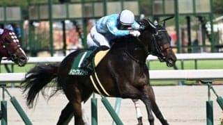 【京阪杯想定馬・騎手】ドロップオブライト、エイシンスポッターなど23頭