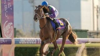 アイコンテーラーの競走馬登録抹消…交流G1で優勝