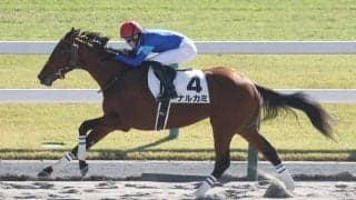 【新馬/京都4R】サンダースノー産駒 ナルカミが大差V