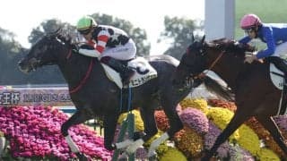 【新馬/京都5R】ミニトランザットがデビューV…断然人気アスクセクシーモアはまさかの最下位