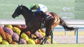 【デイリー杯2歳S】ランフォーヴァウが人気に応える…福永厩舎重賞2勝目