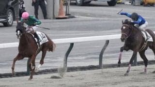 【新馬/福島6R】最年長ジョッキー柴田善臣騎乗 ヒットミーが人気に応える