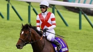 武豊騎手 今週の騎乗馬…マイルCSはオオバンブルマイとのコンビ