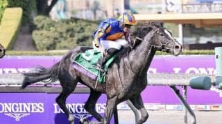 【ジャパンカップ】オーギュストロダンなど外国馬が来日