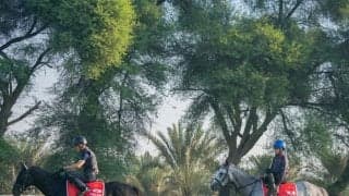 【バーレーン国際競走】日本からキラーアビリティ・ヤマニンサンパが参戦…出走予定馬見どころ