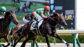 【今日の注目ポイント】東京で来年のクラシックへの登竜門・東スポ杯2歳S