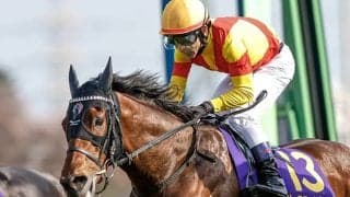 皐月賞馬ジャスティンミラノが抹消 今後は種牡馬に