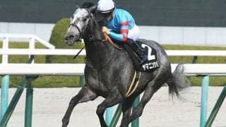 【バーレーン国際T結果】スピリットダンサーが連覇 日本のヤマニンサンパ6着、キラーアビリティ8着