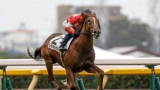 【東スポ杯2歳S予想】過去の勝ち馬にはコントレイルやイクイノックス 出世レースとして名高い一戦