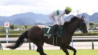 【競馬予想】ＧＩマイルCSは今年も荒れるのか!?　穴党記者は先行する伏兵２頭の一発に期待