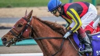 半姉はGI・4勝馬 武豊騎手とのタッグでデビューV狙う