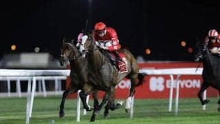 【バーレーン国際競走】日本馬キラーアビリティ、ヤマニンサンパは敗れる…スピリットダンサーが連覇