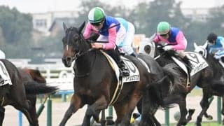 【京都5R新馬戦結果】10番人気のメイショウタマユラが差し切りV