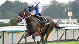 【秋明菊賞結果】2番人気キャッスルレイクが追い比べを制す