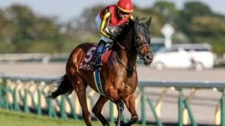 【マイルCS前日オッズ】ブレイディヴェーグが4.6倍で1番人気