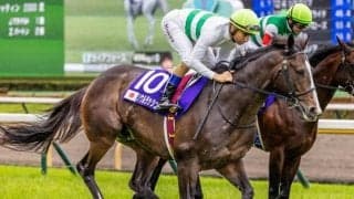 【AI予想・マイルCS】本命は京都で安定した走りを見せる実力派！ 悲願のGI制覇へ人工知能も太鼓判