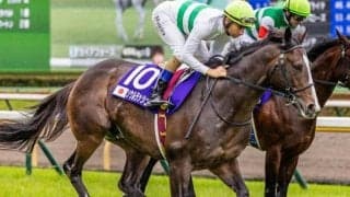 霜降り明星・粗品がマイルCSを予想 「ここが最大のチャンス」と重賞3勝の実績馬に◎