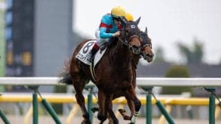 【東京6R】エンブロイダリーが断然の人気に応える