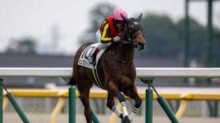 【新馬/東京5R】単勝1.2倍インプロペリアが断然の支持に応える