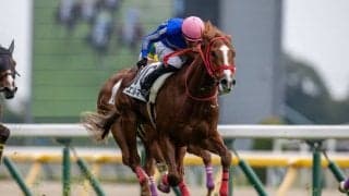 【新馬/東京4R】マーカンド騎乗 エルマーゴが人気に応える