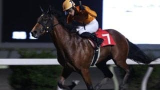 【高知・土佐寒蘭特別】ユラリユラメイテが3馬身差完勝…岡村「うまく逃れた」