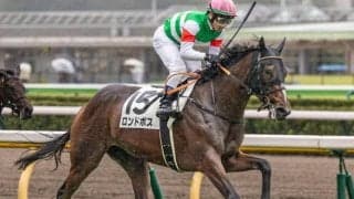 デイリー杯2歳S回避のロンドボス 赤松賞で仕切り直しの一戦