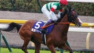 【マイルCS予想】秋のマイル王者決定戦 今年はBコース使用でレース傾向に変化も？