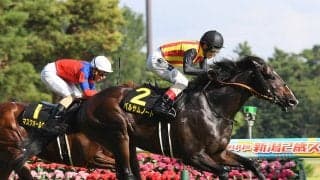 【競馬血統予想】ＧⅠマイルチャンピオンシップと縁がある馬は？　混戦を抜け出しそうな２頭をピックアップ