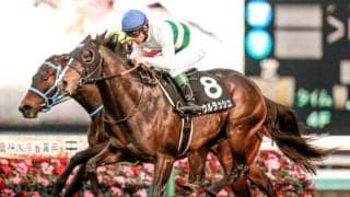 【マイルCS予想】重視すべきは「ローテ」「着順」？ 過去データから探るGIマイルCS