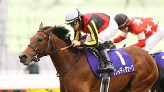 【マイルCS／大口投票】昨年は5人気1着ナミュールに“100万円”の履歴　大混戦に潜む「一撃狙い」の票は……？