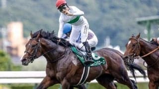 京都芝は内＆前ベター マイルCSで穴ならエルトンバローズか